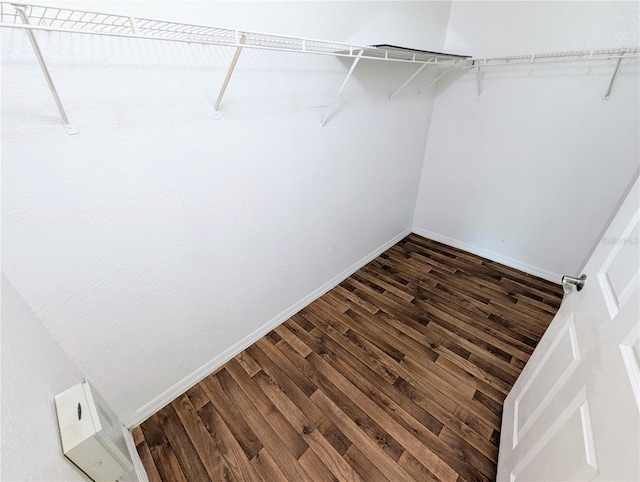 walk in closet with dark hardwood / wood-style floors