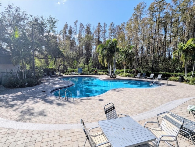 view of pool with a patio