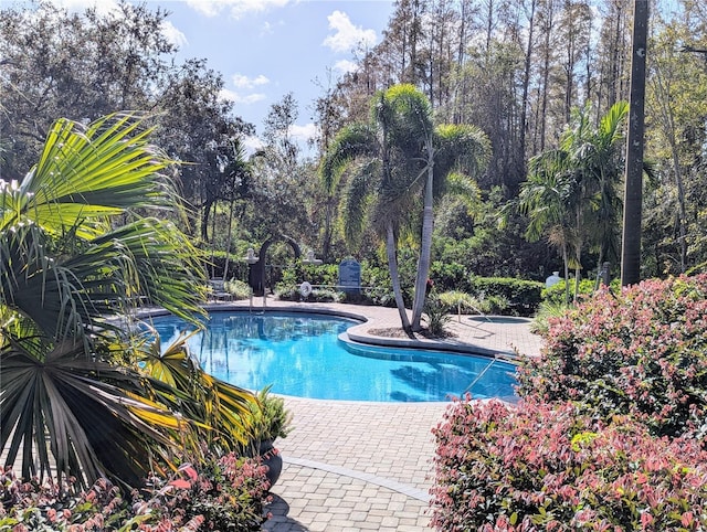 view of pool featuring an in ground hot tub