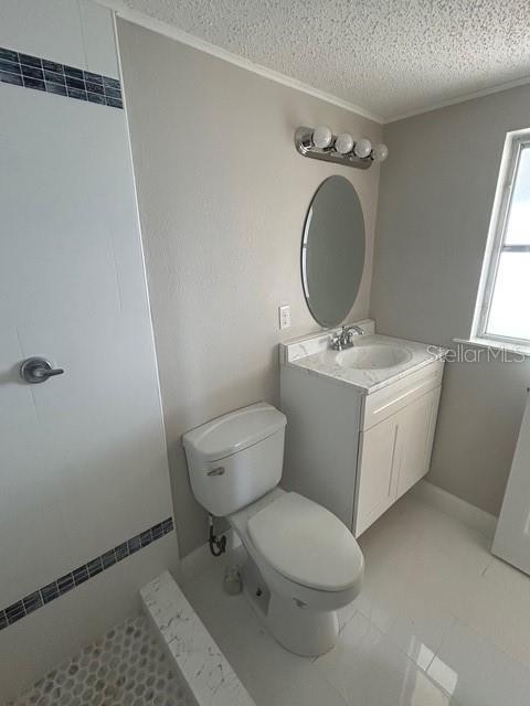 bathroom featuring vanity, a textured ceiling, and toilet