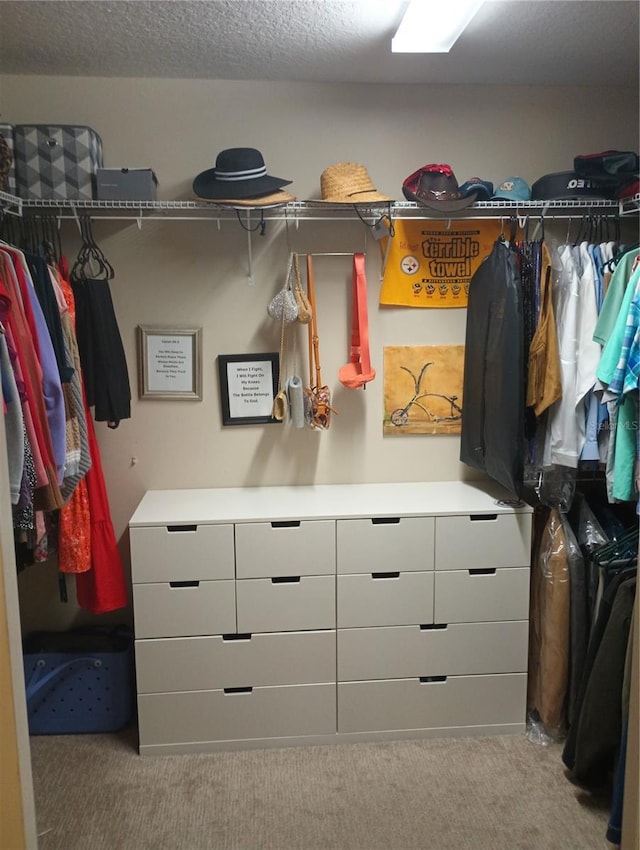 spacious closet featuring light carpet