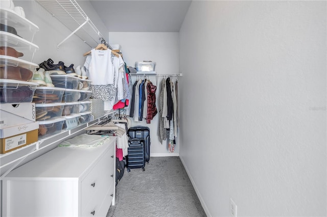 4221 W Spruce St Unit 1325, Tampa, FL 33607 - walk in closet with light colored carpet