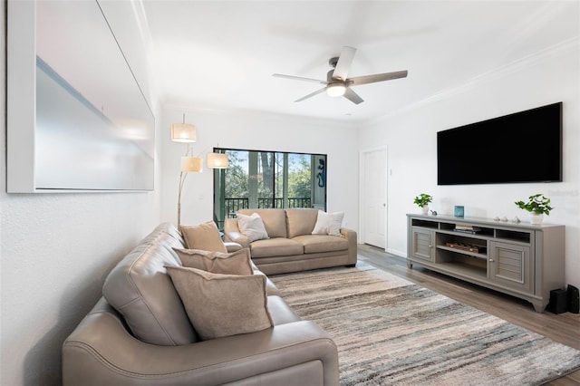 living room featuring dark wood-type flooring, ceiling fan, and ornamental molding