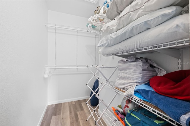 walk in closet with wood-type flooring