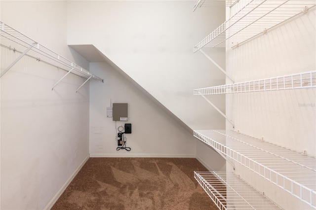 spacious closet with electric panel and carpet