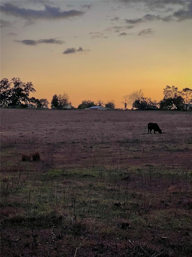 view of nature at dusk