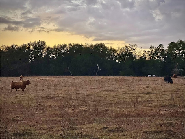 yard at dusk featuring a rural view