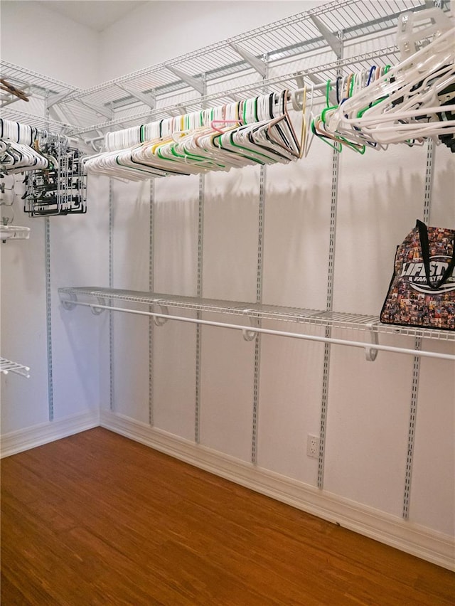 walk in closet with hardwood / wood-style flooring