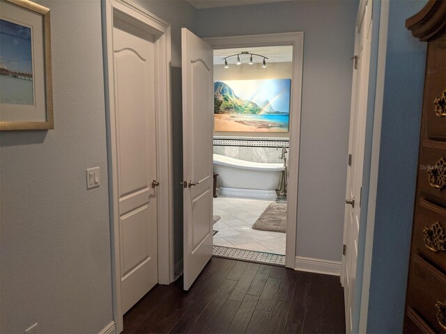 hallway with dark wood-type flooring and rail lighting