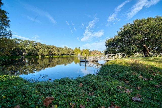 dock area with a water view