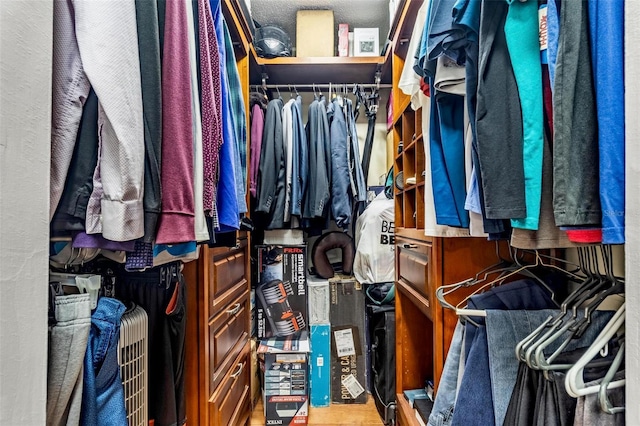 view of spacious closet