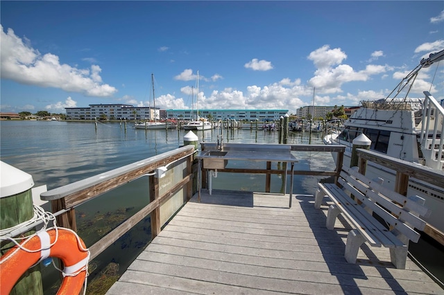 dock area with a water view