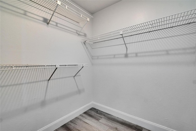 walk in closet featuring wood-type flooring