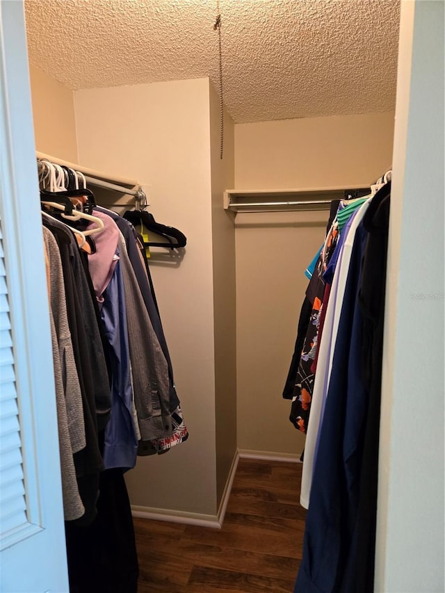 walk in closet with dark hardwood / wood-style flooring