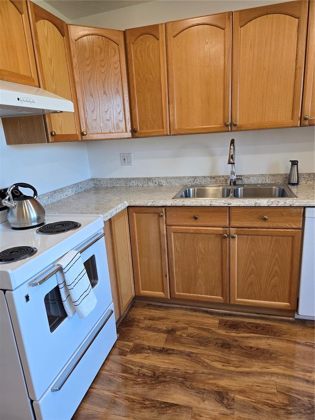 kitchen with dark hardwood / wood-style flooring, sink, and white appliances