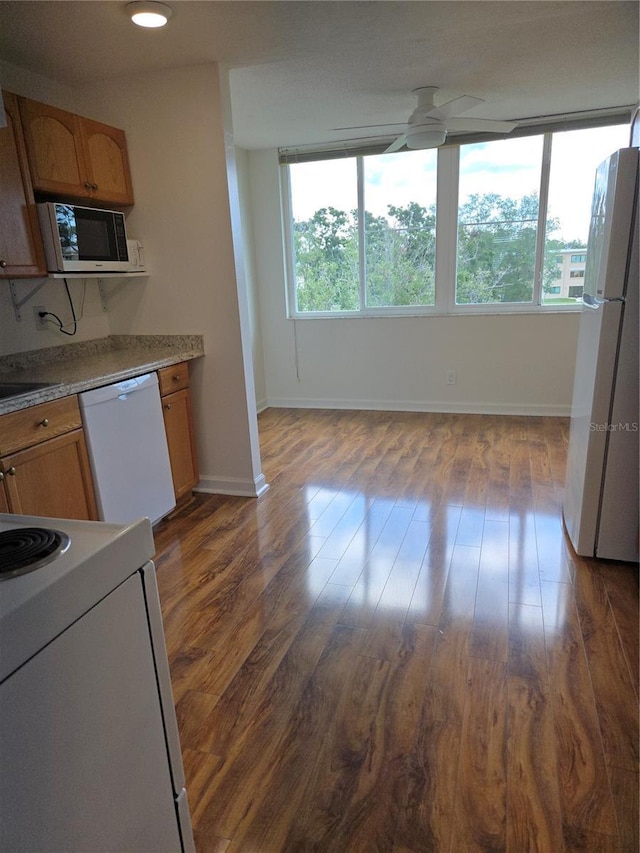 4915 Bay St NE Unit 322, Saint Petersburg, FL 33703 - kitchen featuring white appliances, a ceiling fan, plenty of natural light, and dark wood-type flooring