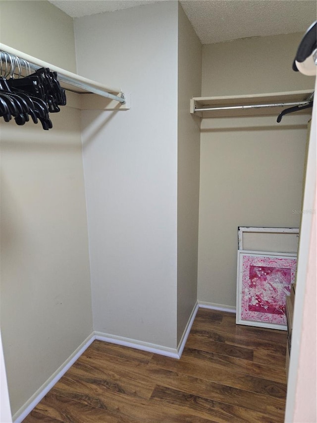 4915 Bay St NE Unit 322, Saint Petersburg, FL 33703 - spacious closet featuring wood finished floors