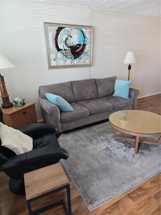 4915 Bay St NE Unit 322, Saint Petersburg, FL 33703 - living room featuring wood finished floors