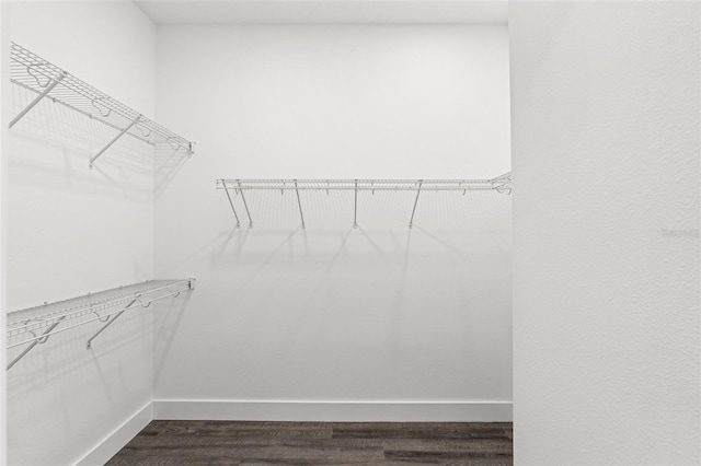 spacious closet with wood-type flooring