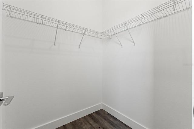 spacious closet with dark wood-type flooring