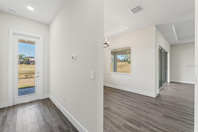 entryway with plenty of natural light and dark hardwood / wood-style floors