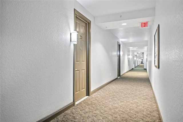 corridor featuring carpet floors