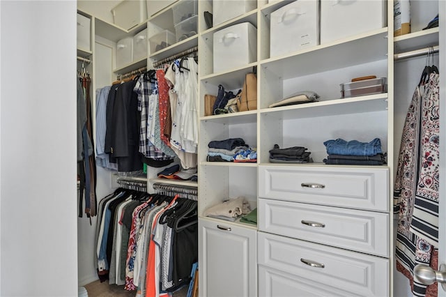 view of spacious closet