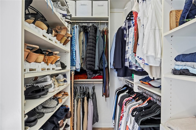 view of spacious closet