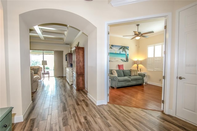 hall featuring coffered ceiling, crown molding, a wealth of natural light, and hardwood / wood-style flooring