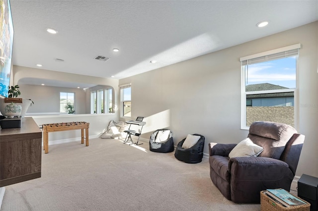 interior space with a wealth of natural light, carpet floors, and a textured ceiling