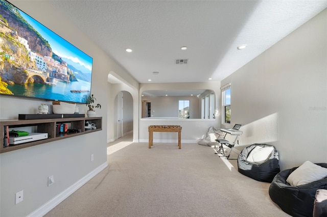 interior space with light colored carpet and a textured ceiling