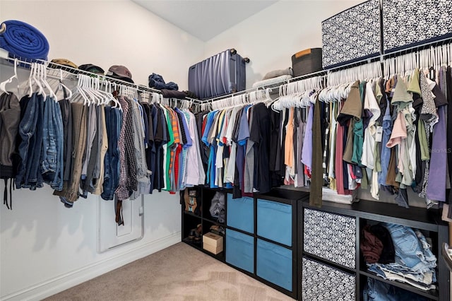 spacious closet featuring carpet floors