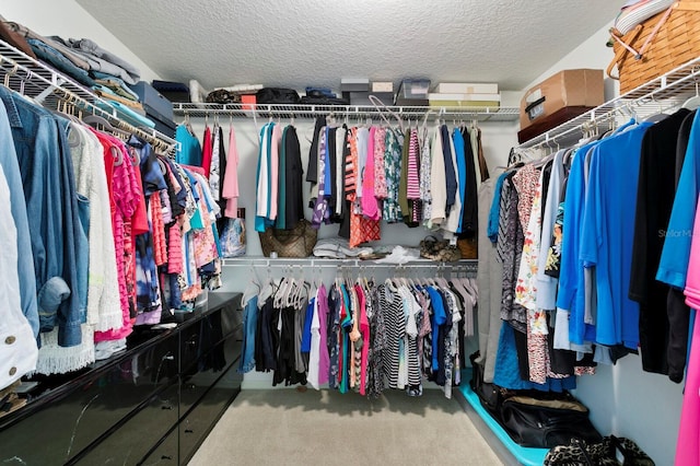 spacious closet featuring carpet flooring