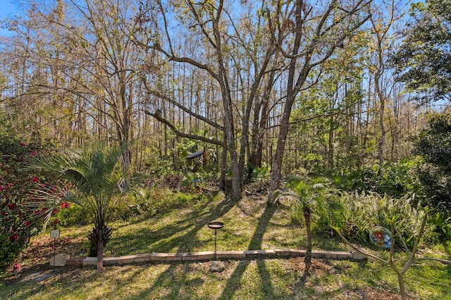 view of local wilderness