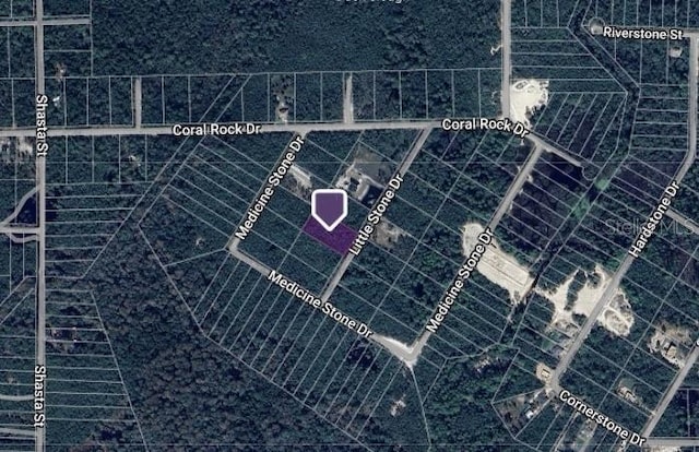 Little Stone Dr, Webster FL, 33597 land for sale