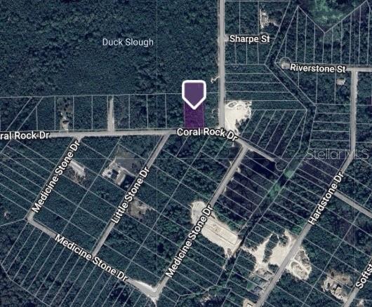 Coral Rock St, Webster, FL 33597