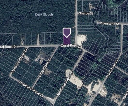 Coral Rock St, Webster FL, 33597 land for sale