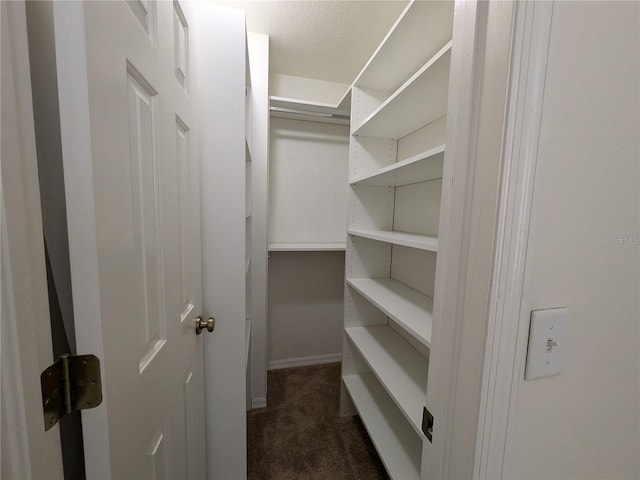 walk in closet featuring dark carpet