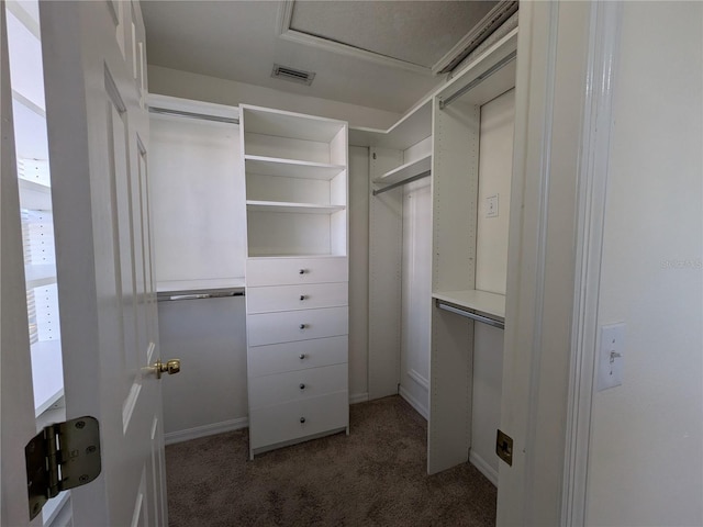 walk in closet featuring carpet floors and visible vents