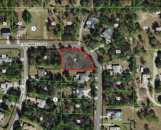 1820 E Saint James Loop, Inverness FL, 34453 land for sale