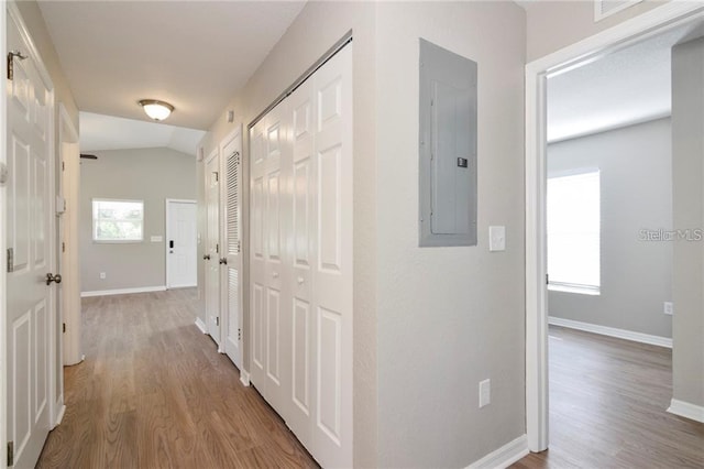 hallway with lofted ceiling, hardwood / wood-style flooring, and electric panel