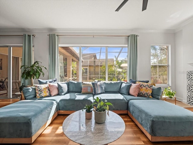 living room featuring ceiling fan, ornamental molding, and light hardwood / wood-style flooring