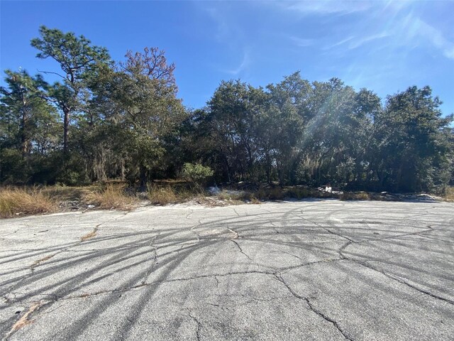 1203 Vernon Ln, Kissimmee, FL 34759 - photo 7
