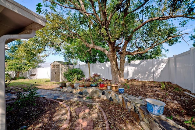 view of yard featuring a storage unit