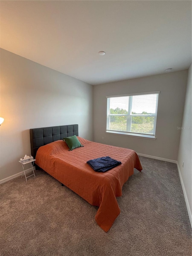 bedroom featuring carpet