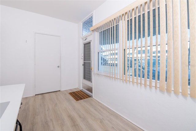 entrance foyer with light hardwood / wood-style floors