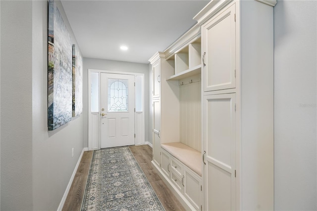 mudroom with dark hardwood / wood-style flooring