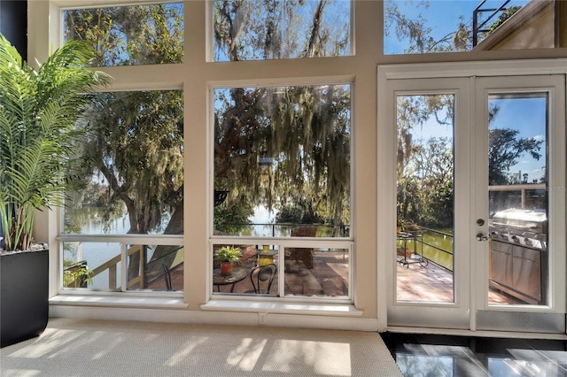 doorway to outside with a water view, a healthy amount of sunlight, french doors, and dark colored carpet