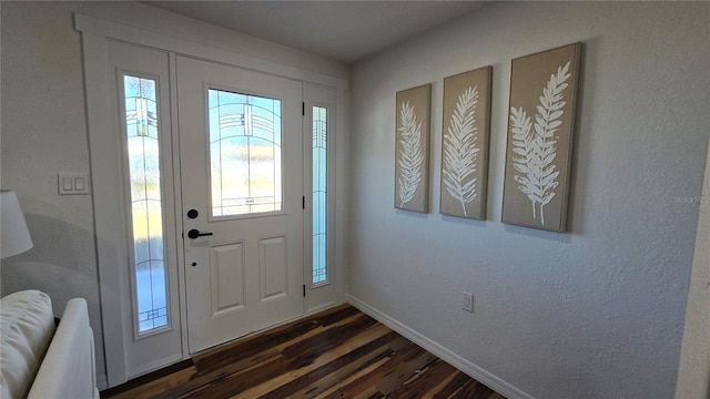 entryway with a wealth of natural light and dark wood-type flooring