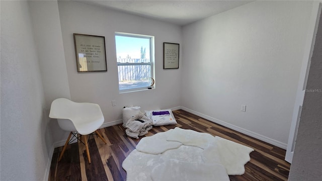 sitting room with dark wood-type flooring